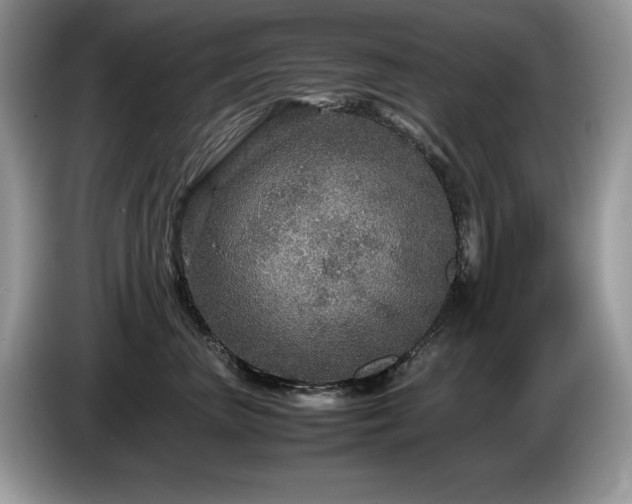 X0000087580667200704271306