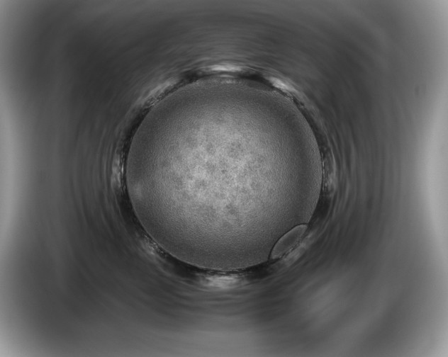 X0000087580669200704271306