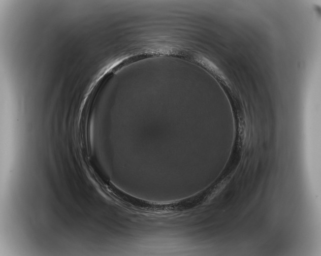 X0000087580674200704271305