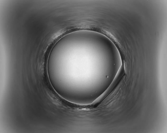 X0000087580675200704271305
