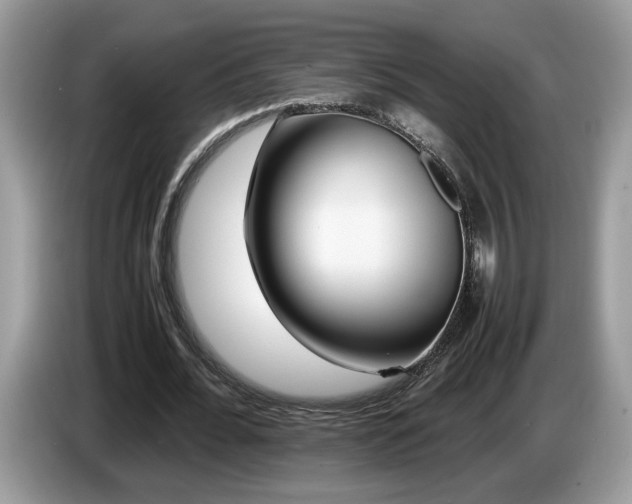 X0000087580676200704271305