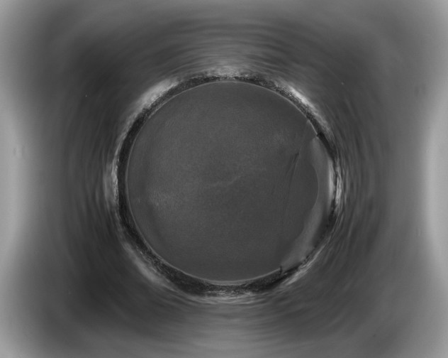 X0000087580678200704271305