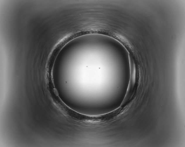 X0000087580680200704271305