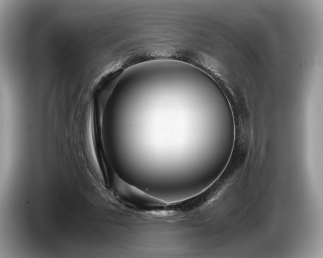 X0000087580681200704271305