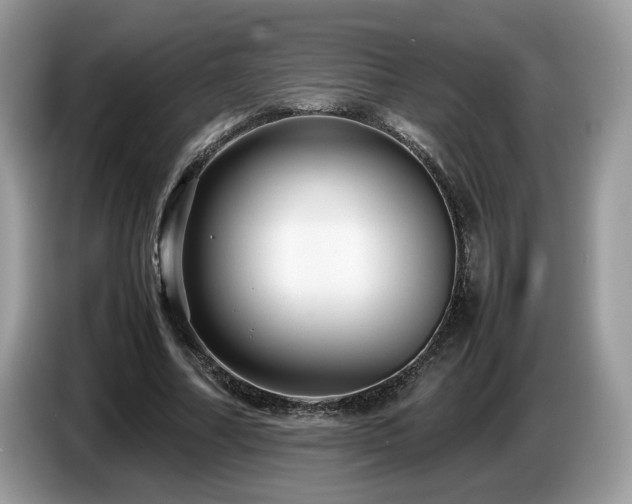 X0000087580682200704271305