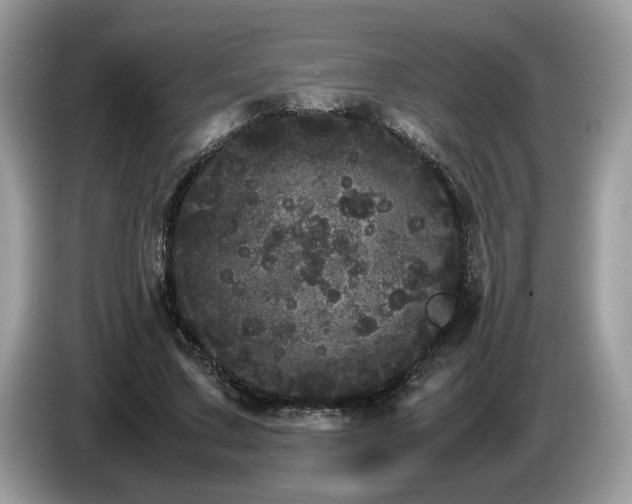 X0000087580683200704271305