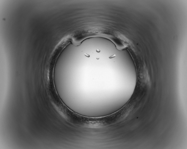 X0000087580686200704271305