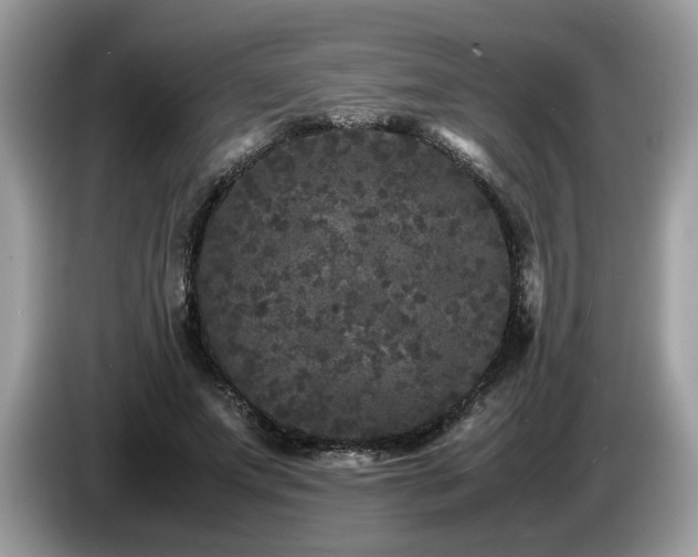 X0000087580687200704271305
