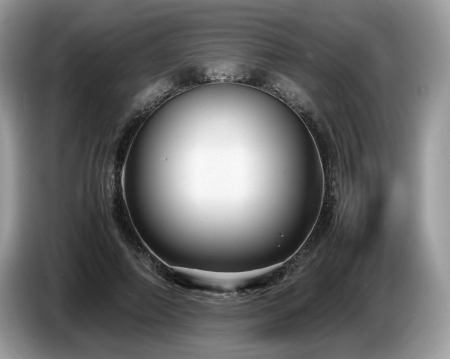 X0000087580690200704271305