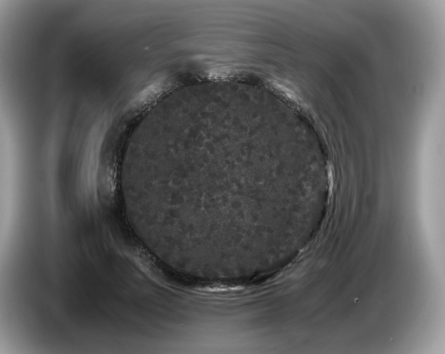 X0000087580691200704271305