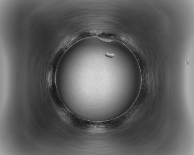X0000087580694200704271305