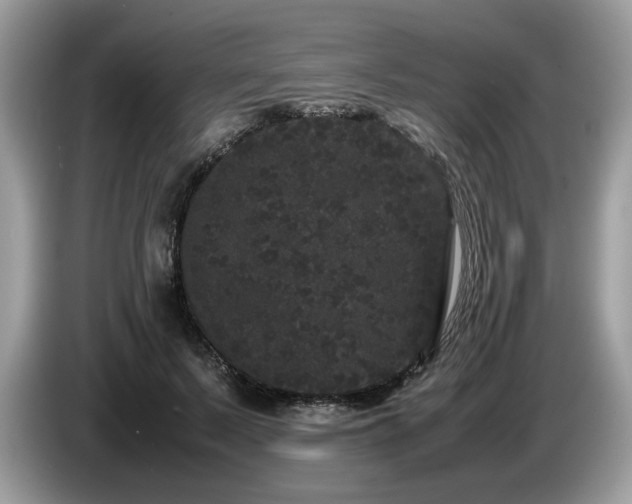 X0000087580695200704271305