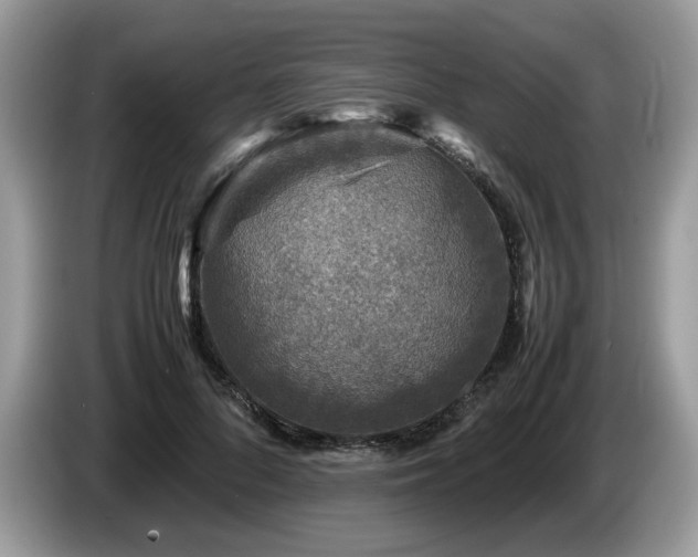 X0000087580696200704271305