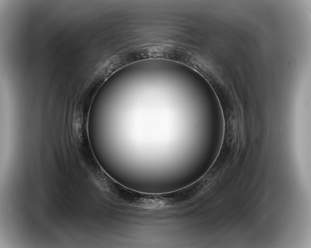X0000087580698200704271305
