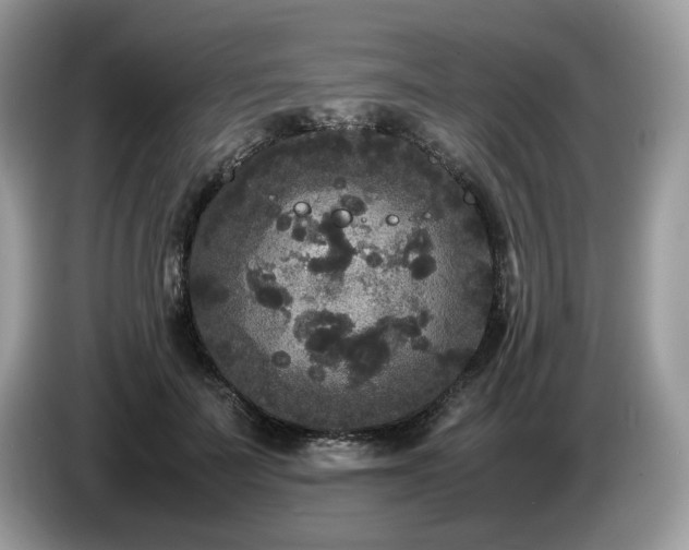 X0000087580699200704271305