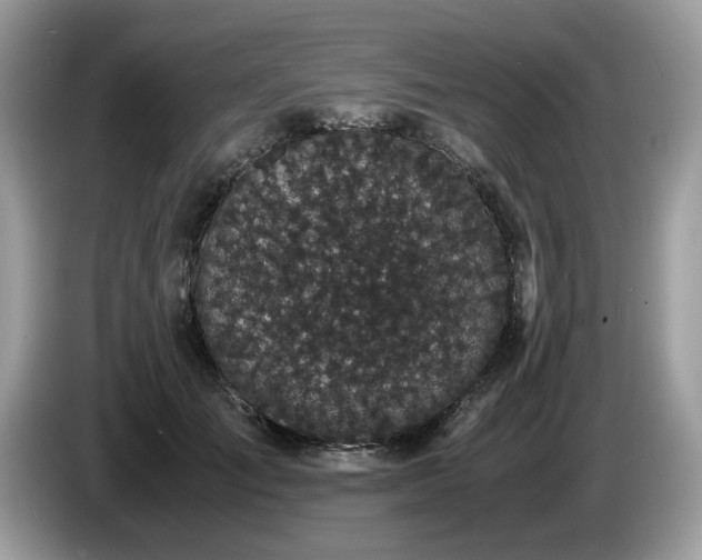 X0000087580701200704271305