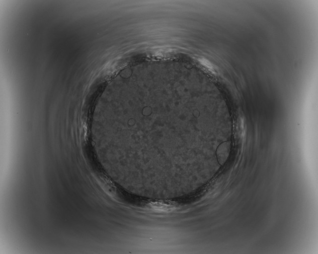 X0000087580703200704271305