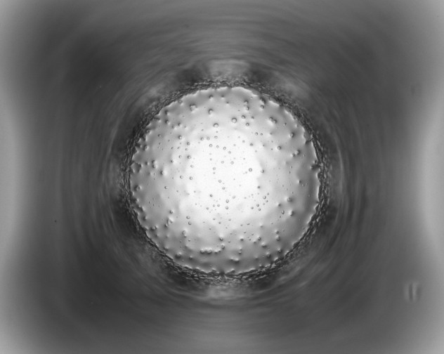 X0000087580705200704271305