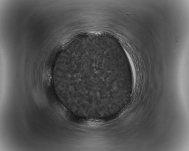 X0000087580707200704271305