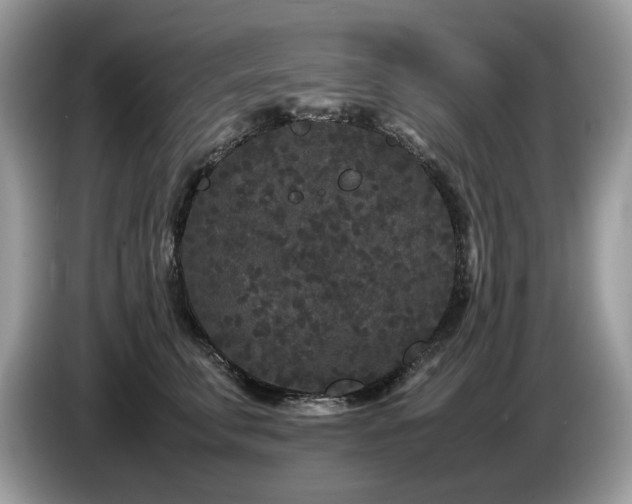 X0000087580711200704271305