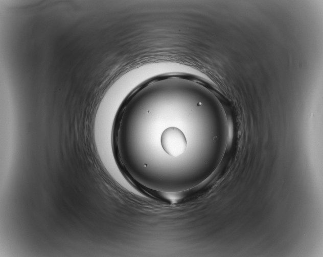 X0000087580712200704271305