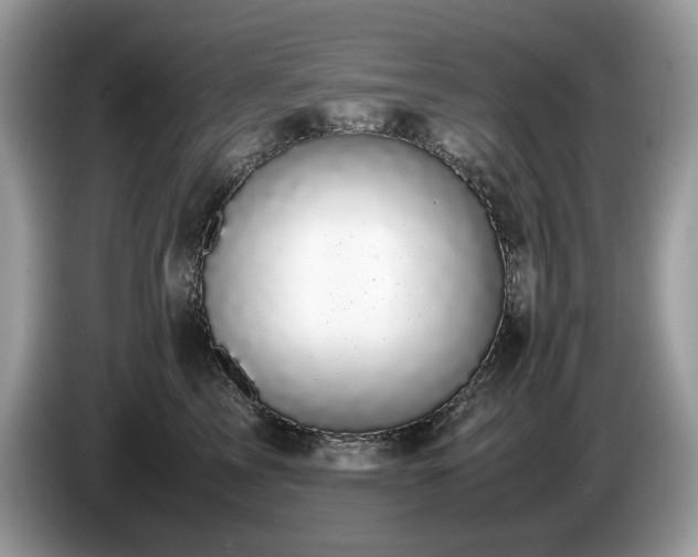 X0000087580713200704271305