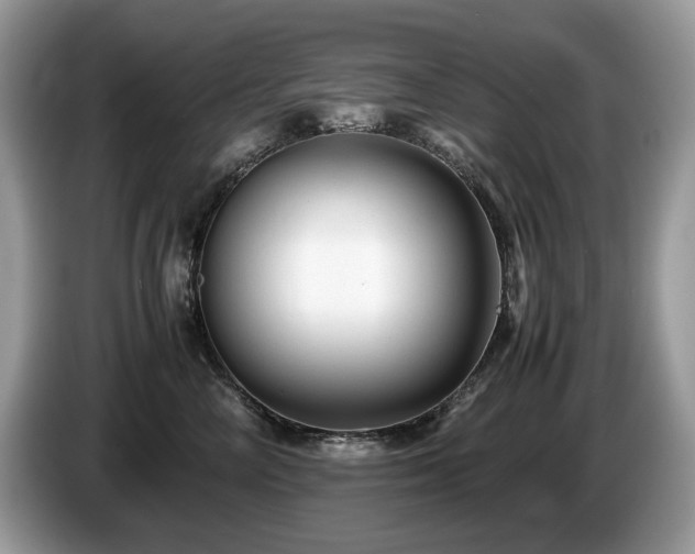 X0000087580714200704271305
