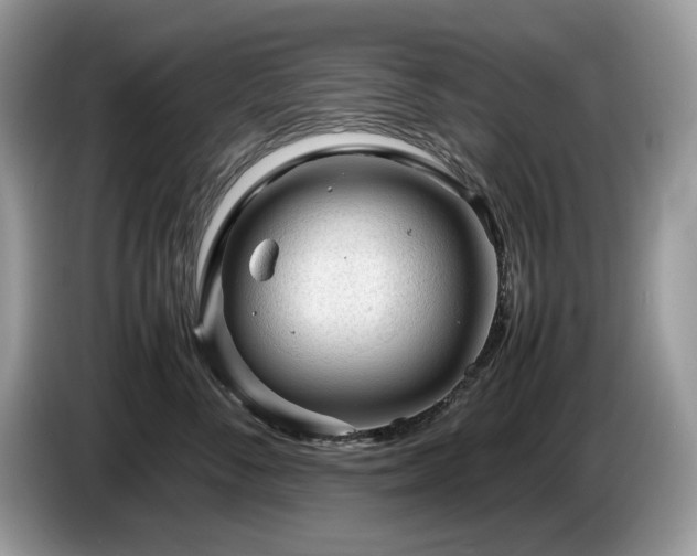 X0000087580716200704271305