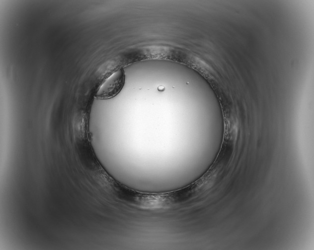 X0000087580717200704271305