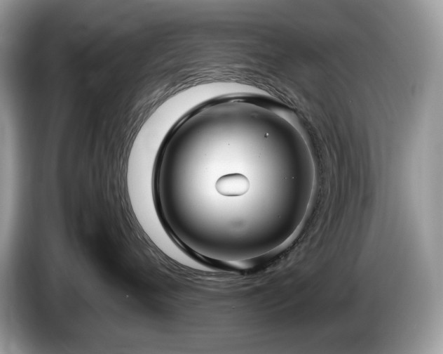 X0000087580720200704271305
