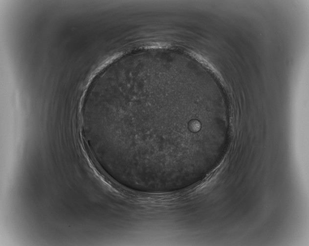 X0000087580721200704271304