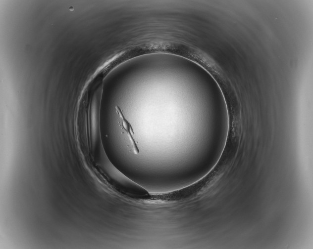 X0000087580722200704271304