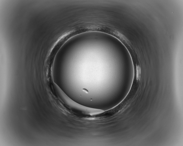 X0000087580723200704271304