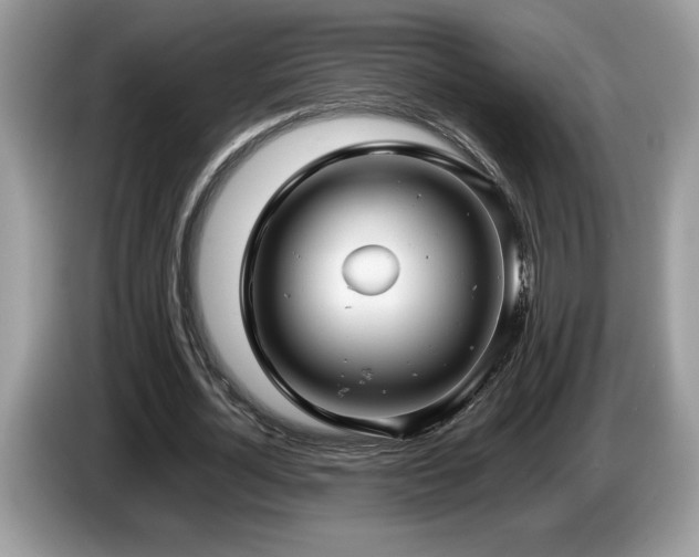 X0000087580724200704271304