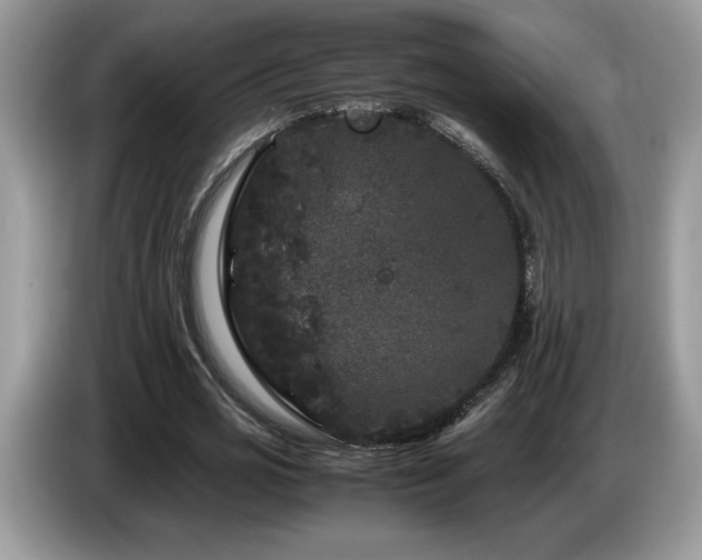 X0000087580725200704271304