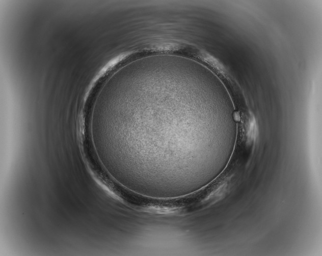 X0000087580726200704271304