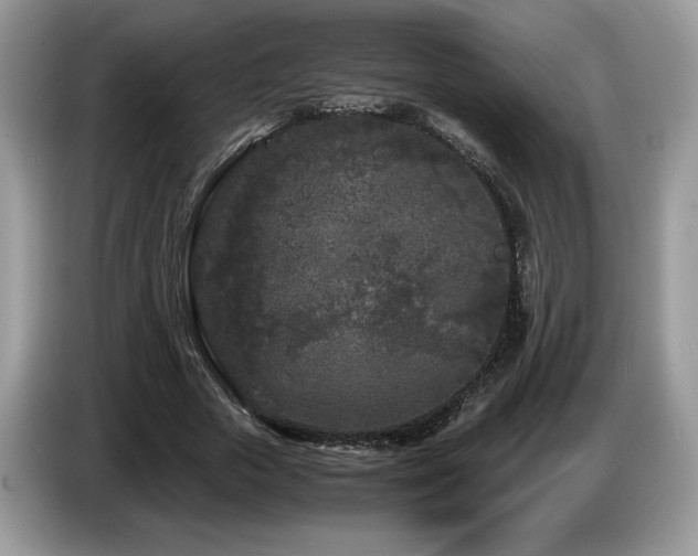 X0000087580729200704271304