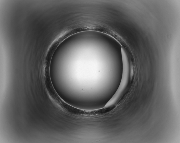 X0000087580730200704271304