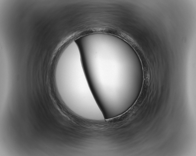 X0000087580732200704271304