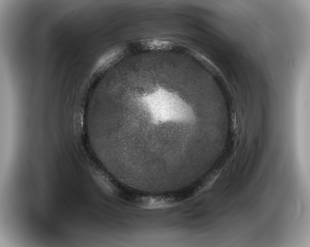 X0000087580733200704271304