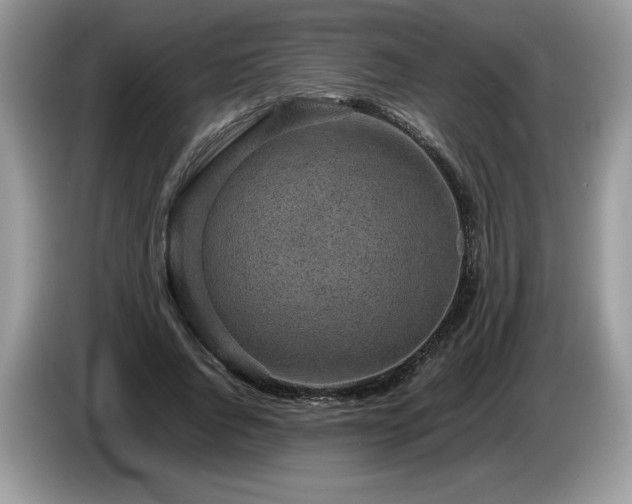 X0000087580736200704271305