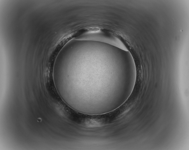 X0000087580739200704271305