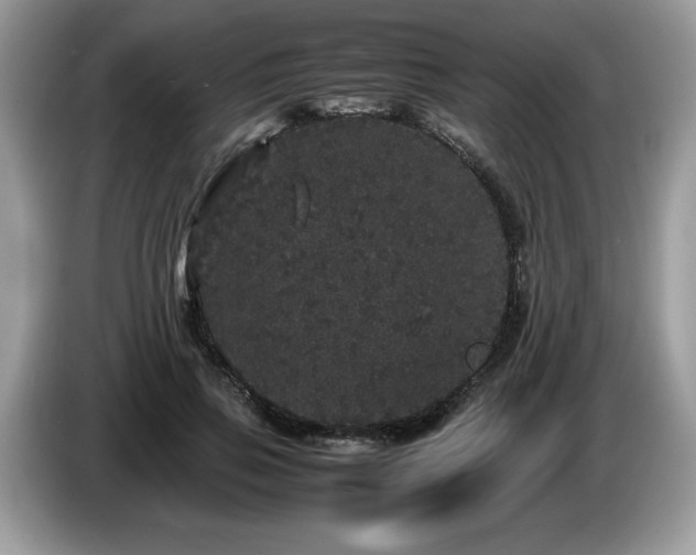X0000087580741200704271305
