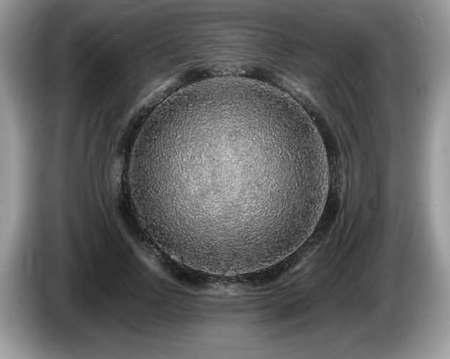X0000087580742200704271305