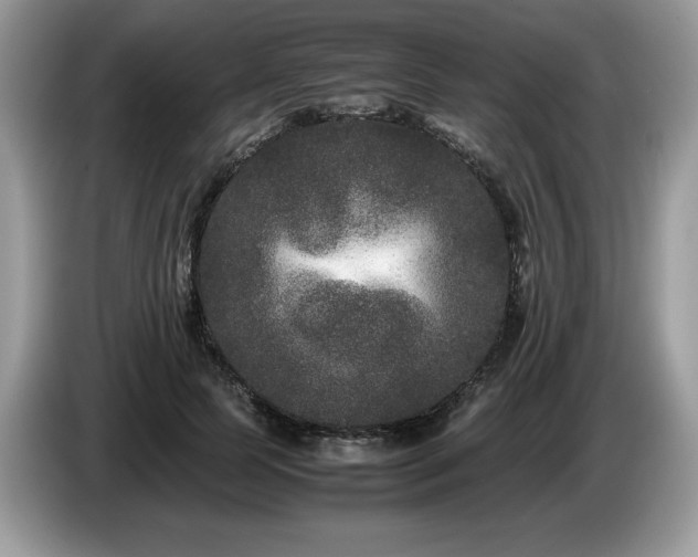 X0000087580745200704271305