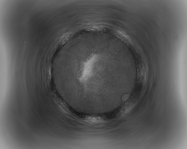 X0000087580749200704271305