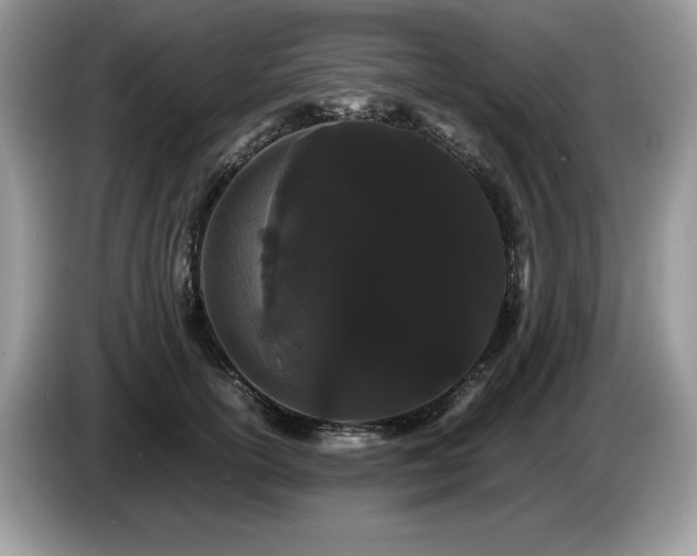 X0000087580754200704271305