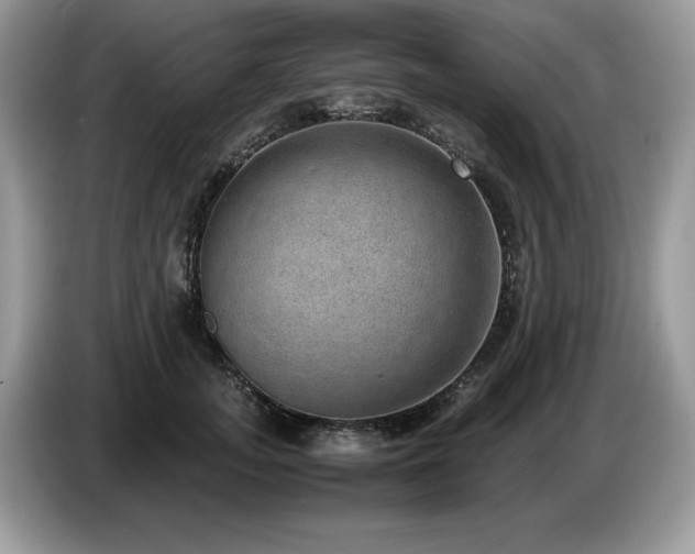 X0000087580755200704271305