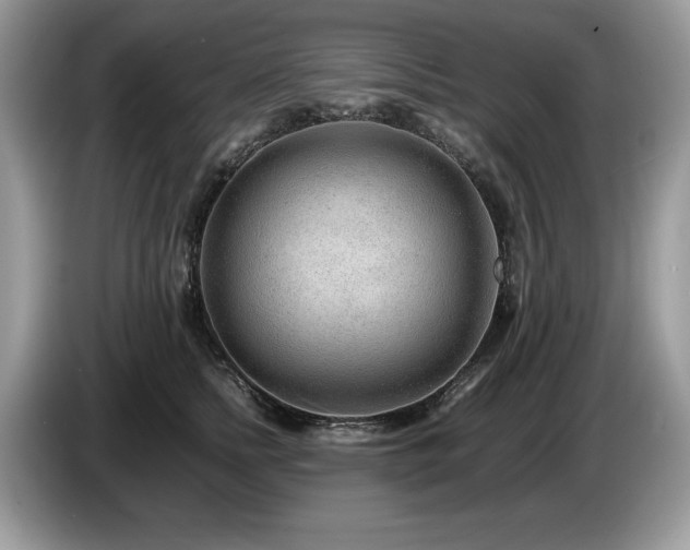 X0000087580758200704271305