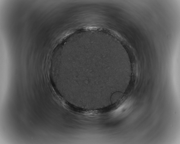 X0000087580761200704271305